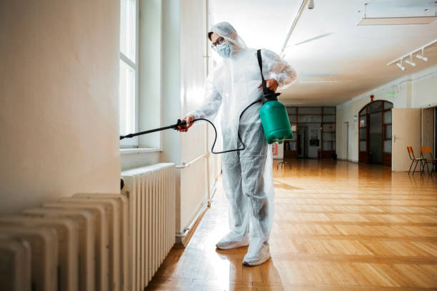 Real Estate Pest Inspections in Paragould, AR